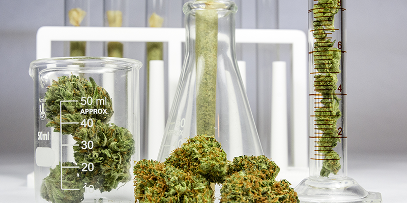 Cannabis lab testing buds and bottles