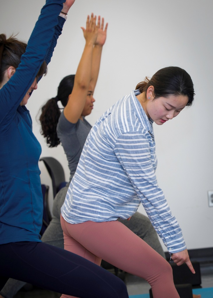 Spring 2023 Yoga Teacher Training 