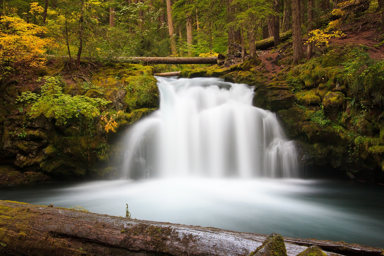 Waterfall Class - Continuing Education at Seattle Central College 
