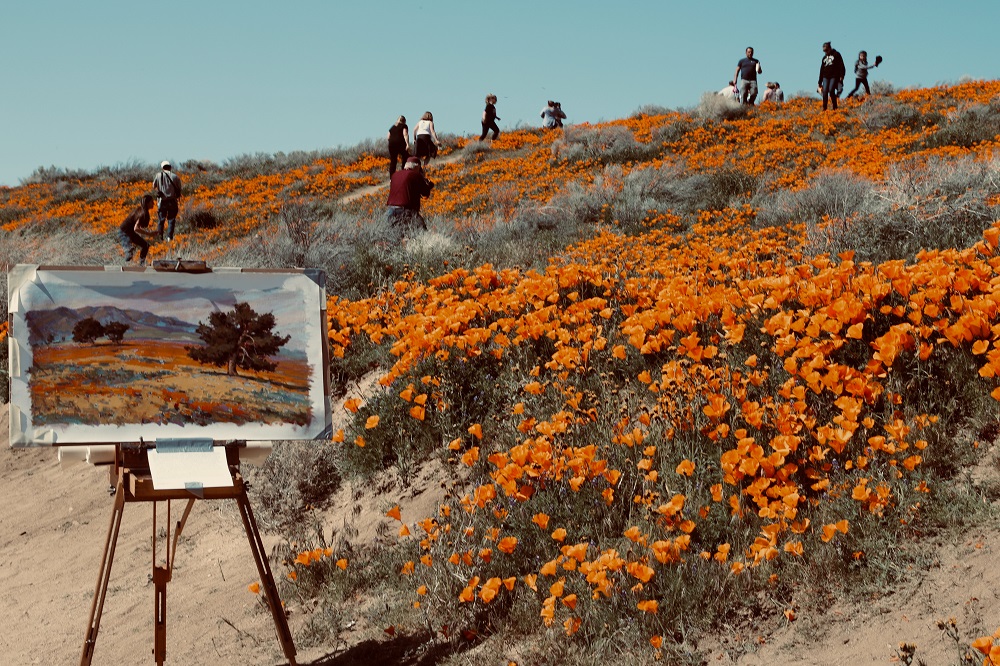 Painting on easel in front of landscape of a hill with orange flowers - Continuing Education at Seattle Central College 