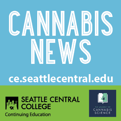 Cannabis News Summer 2024 - ce.seattlecentral.edu - Continuing Education at Seattle Central College