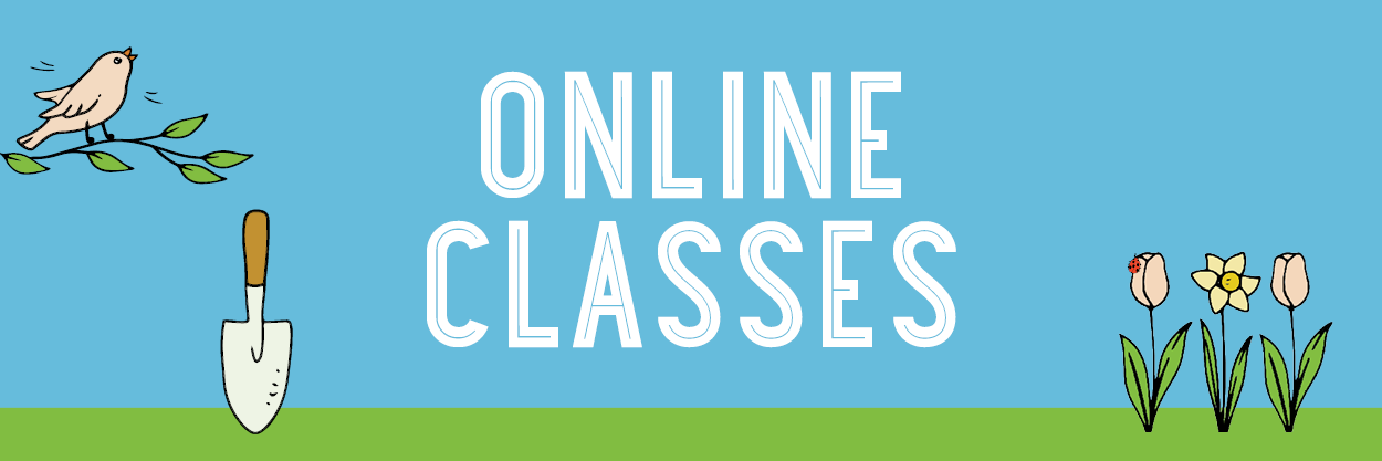 Online Classes